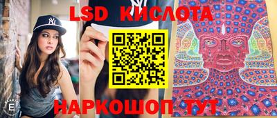 шишки Моздок