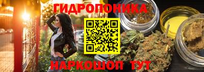 сатива Можайск