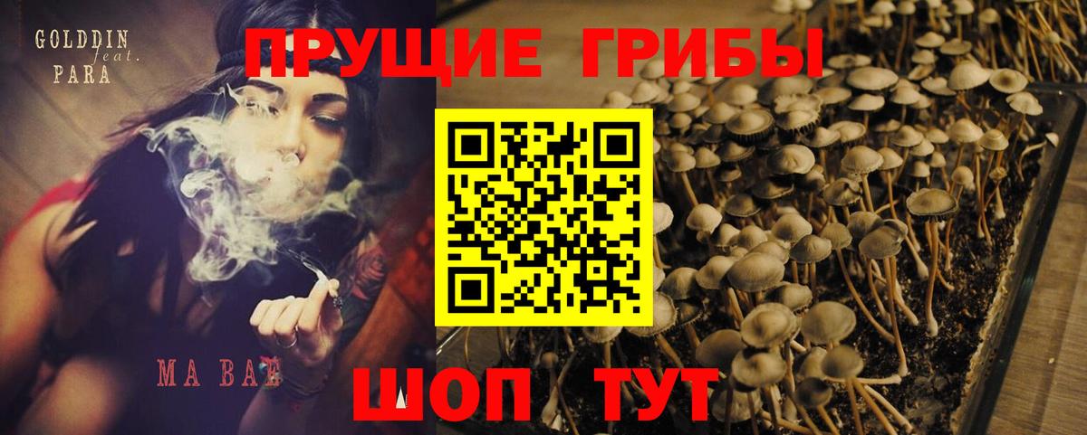 Галлюциногенные грибы GOLDEN TEACHER Торжок