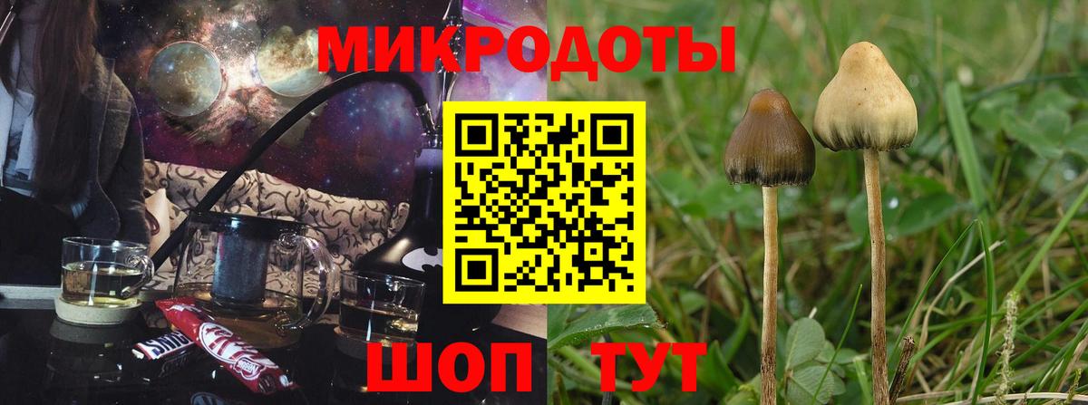 Псилоцибиновые грибы прущие грибы  Вход с VPN  Псилоцибиновые грибы Psilocybine cubensis  Торжок 